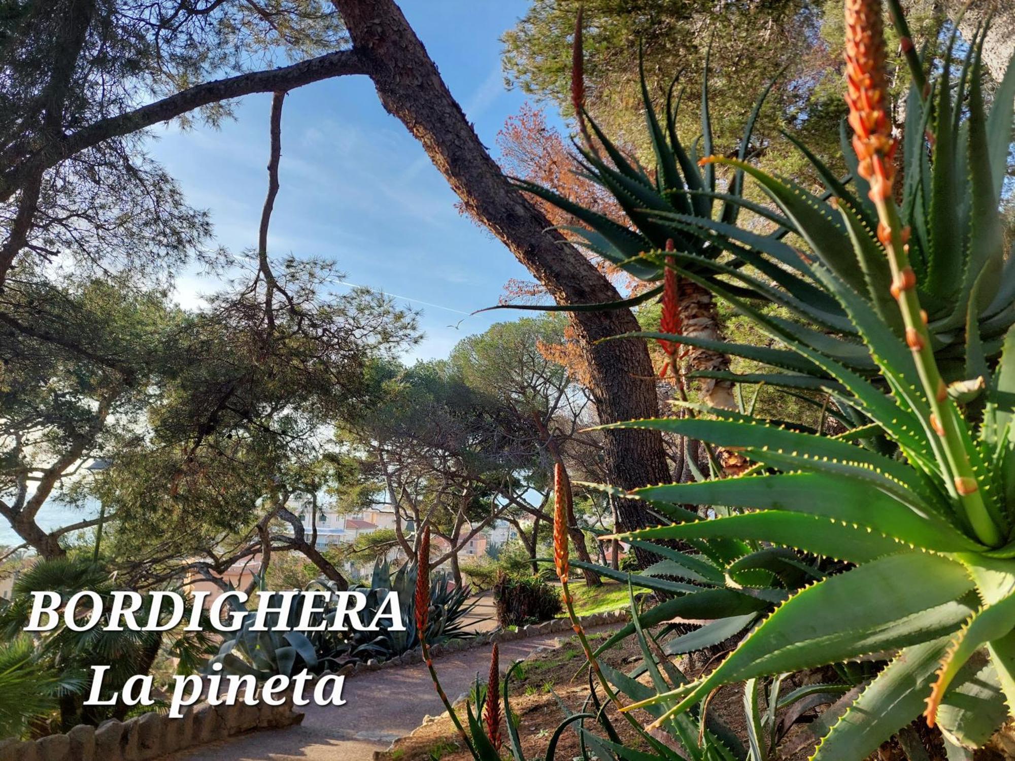Emozioni Casa Vista Mare Bordighera Zewnętrze zdjęcie
