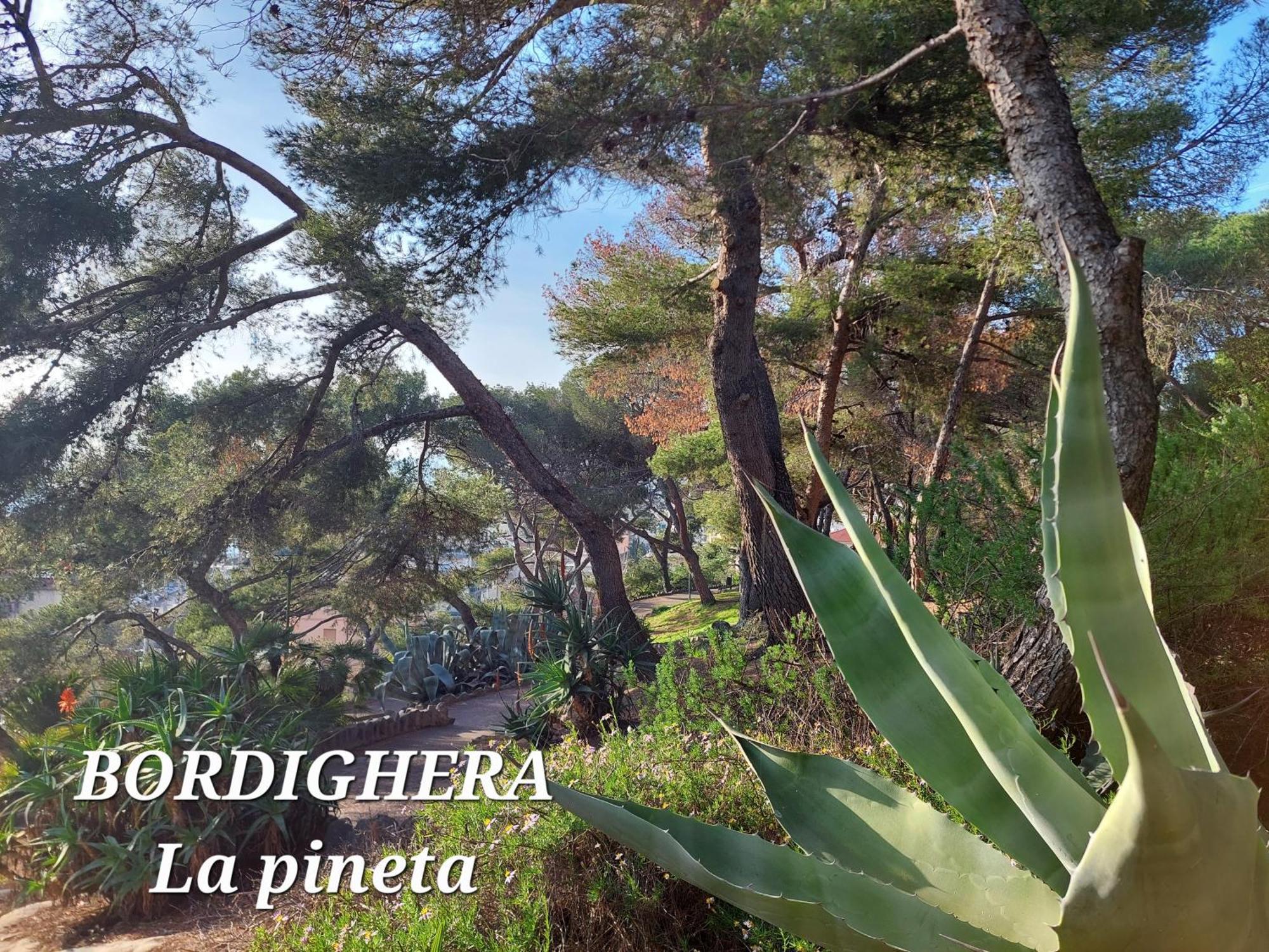Emozioni Casa Vista Mare Bordighera Zewnętrze zdjęcie