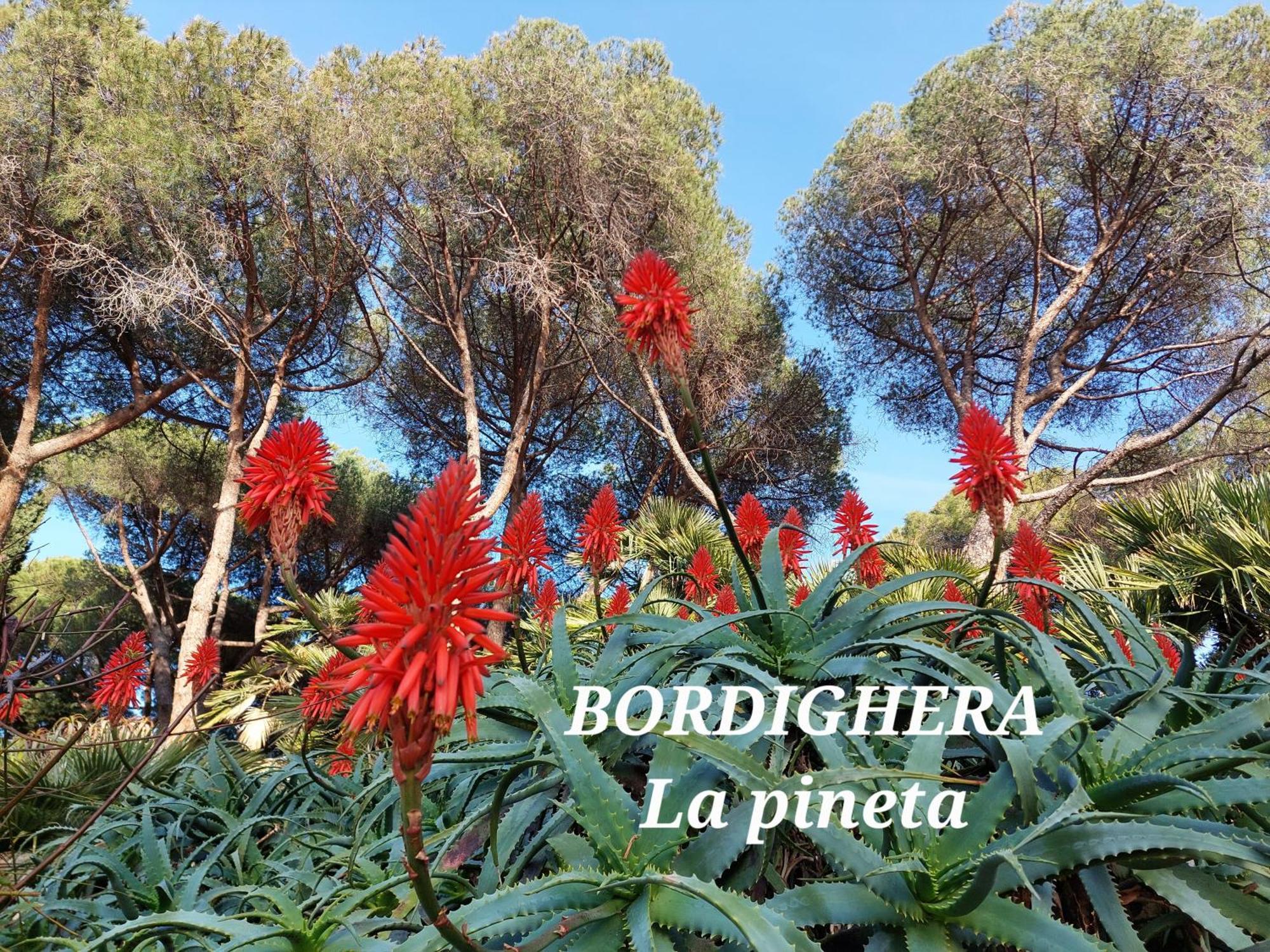 Emozioni Casa Vista Mare Bordighera Zewnętrze zdjęcie